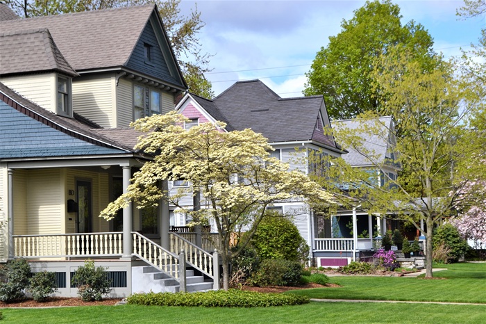Tree-lined neighborhood with welcoming porches